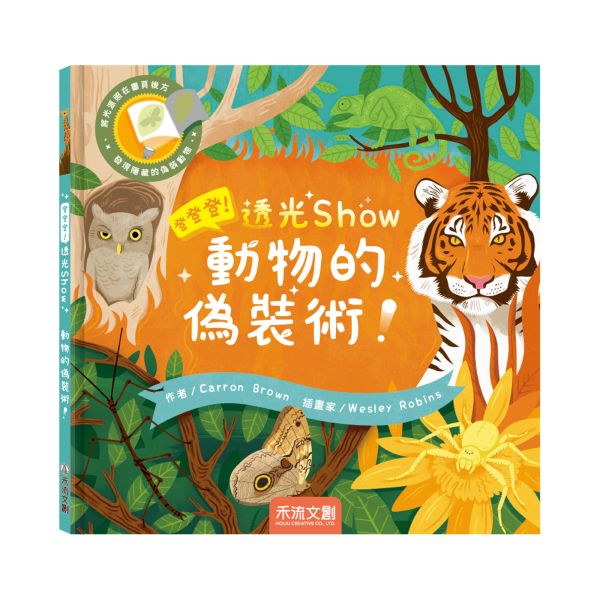 登登登透光show-動物的偽裝術！